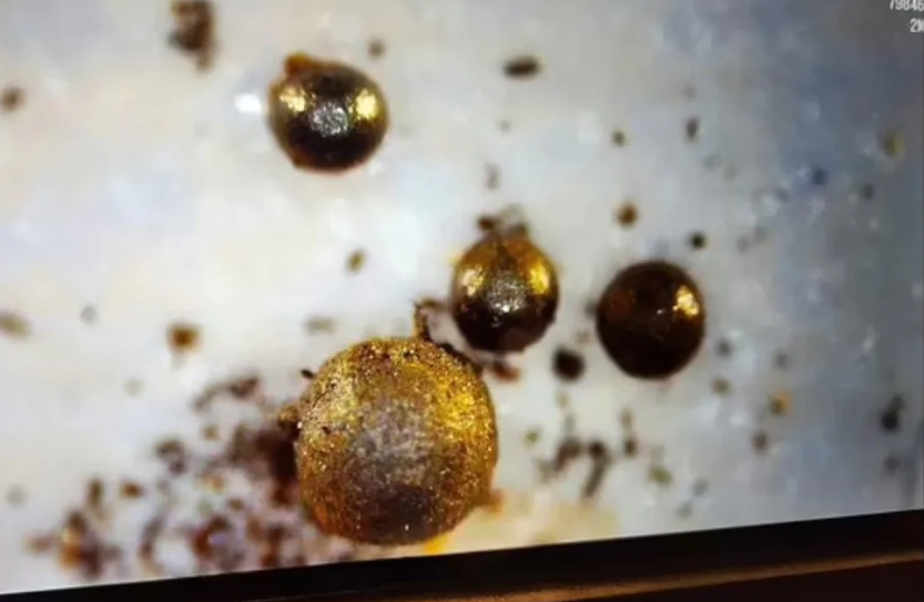 Гарвардський професор заявляє, що знайшов уламки інопланетного апарату: фотодокази